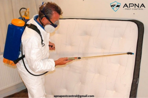 Pest Control Richmond