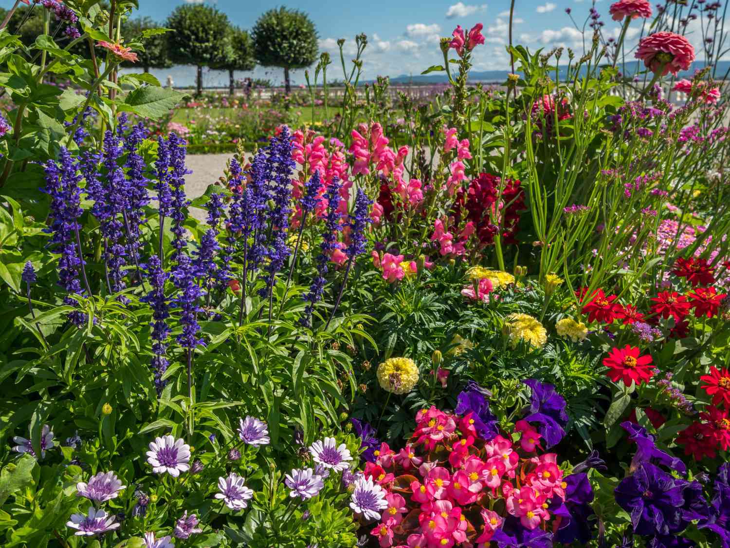 Shady Garden Areas - Choose Plants That Grow Better